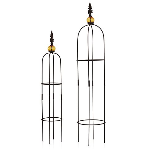 1Plus Set de 2 obeliscos de metal, como tutor, altura de 80,5 y 100 cm, en varios colores y diseños, para rosas, protegido de la corrosión