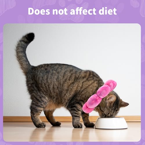 Image of Dog Cat Surgical Recovery Cone Dog Protective Collar, Pet Recovery E-Collar Soft Neck Cone to Stop Licking Wound for Cats & Kittens Small Dog After Surgery