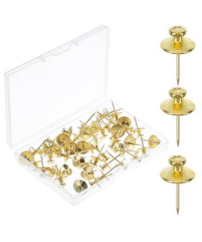 Image of Mr. Pen Double Headed Picture Nails - 50 Pack, Gold | Tacks for Wall Hangings