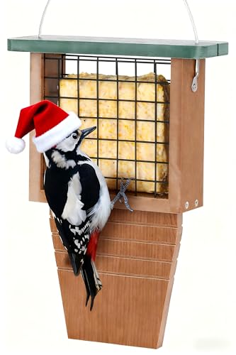 Gtongoko Recycled Plastic Suet Feeder