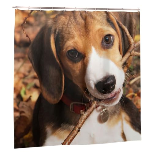 Rideau de douche beagle en polyester 183x183 cm avec 12 œillets