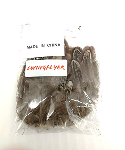 100Pcs 2"-3" Natural Pheasant Feathers Fluffy Spotted Plumage Feather For Dream Catcher Crafts Sewing Clothing Decoration #TOP3