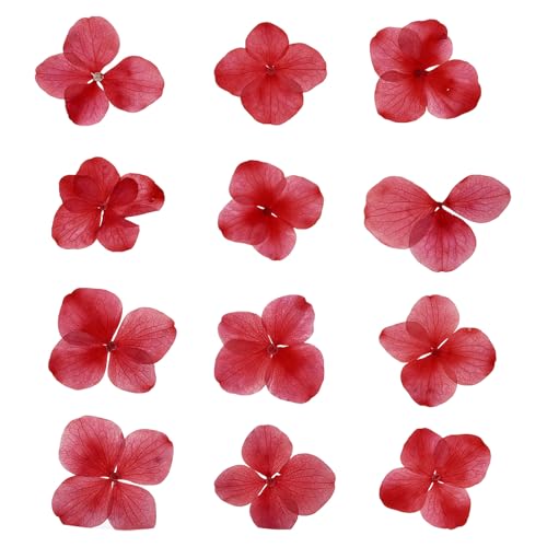 Flores prensadas secas rojas, 48 unidades para manualidades miniatura 1