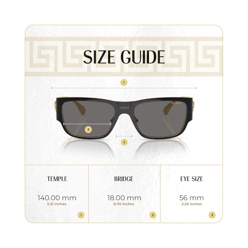 Versace VE2262 Square Sunglasses for Men +BUNDLE with ACCESSORY EYEWEAR KIT4