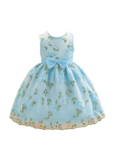 Image of Tagas Girls' Princess Dress | Girl Dress |Dresses birthdaydress for Babygirls | A-Line Knee-Length Dress