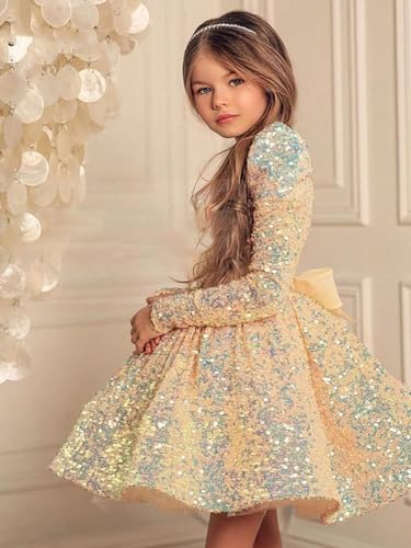 Sequin Flower Girl Dress Puffy Layers Birthday Party Dress Knee Length Princess Birthday Party for Girls FAY073