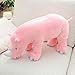 HUOQILIN Plüschtiere Simulation Tier Nashorn Männlichen Und Weiblichen Studenten Schlafkissen Kissen Geburtstagsgeschenk Home Decoration (Color : Pink, Size : 40cm)