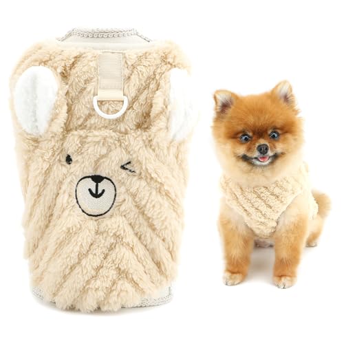 SMALLLEE_LUCKY_STORE  H~ ybg R[t[X Z[^[ g[i[ xXg 킢̃p^[  DOt ^ ^ q L ` EFA[ ~ m   U oCu