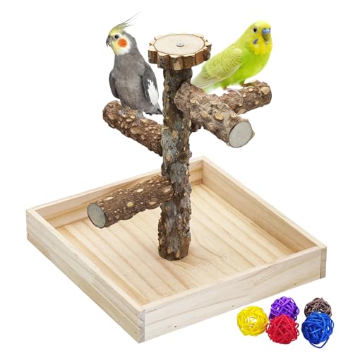 Image of BNOSDM Portable Bird Perch Stand with Potty Tray, Natural Wood Tabletop Training Gym Parrot Playground Toy for Budgies, Cockatiels, Lovebirds,Conures Canaries