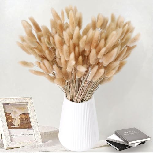 180 PCS Bunny Tails Dried Pampas Grass Decor 17 Brown Pampas Grass Natural Rabbit Tail Dried Flowers Dried Pampas Grass Brown Florals for Boho Wedding Baby Birthday Party Christmas Halloween