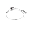 Alex and Ani Path of Symbols Expandable Bangle for Women, Fortune’s Favor Charm, Rafaelian Silver Finish, 2 to 3.5 in