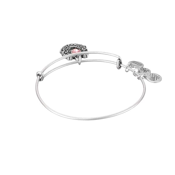 Alex and Ani Path of Symbols Expandable Bangle for Women, Fortune’s Favor Charm, Rafaelian Silver Finish, 2 to 3.5 in