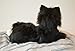 Joy for All Robotic Reclining Black & White Tuxedo Cat - Stuffed Animal Therapy for People with Memory Loss from Aging and Caregivers