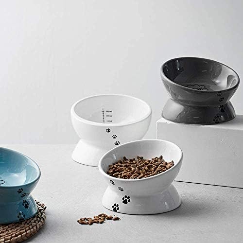 Y YHY Cat Bowl,Raised Cat Food Bowls Anti Vomiting,Tilted Elevated Cat Bowl,Ceramic Pet Food Bowl for Flat-Faced Cats,Small Dogs,Protect Pet's Spine,Dishwasher Safe