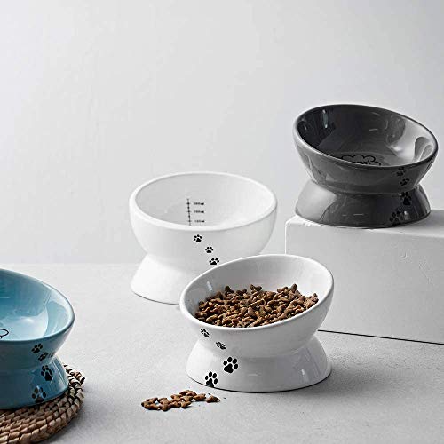Y Yhy Cat Bowl Anti Vomiting, Raised Cat Food Bowls, Tilted Elevated Cat Bowl, Ceramic Pet Food Bowl For Flat Faced Cats, Small Dogs, Protect Pet's Spine, Dishwasher Safe #TOP5