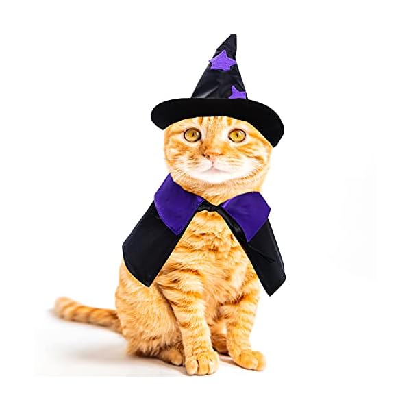 Dxhycc halloween pet costume cat wizard costume funny wizard cat clothes cloak and wizard hat for small dogs cats outfits - image 6