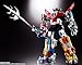 TAMASHII NATIONS - Voltron - GX-71SP Golion/Voltron Chogokin 50th Ver., Bandai Spirits Soul of Chogokin Figure