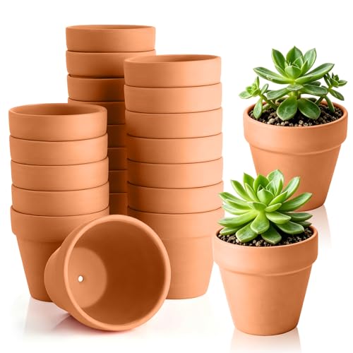 Forbabe 24 Stück Tontöpfe Klein 5.5 X 5 cm Mini Terracotta Blumentopf mit Abflussloch Tontopf Blumentöpfe für DIY Basteln Bemalen
