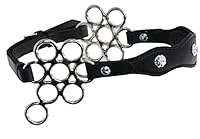 AMKA Barock Hackamore Glücksrad Edelstahl weich gepolstert mit Blumenmotiv Conchos am Nasenband, weich gepolstert