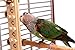 Woodberry - Medium Bolt-On Parrot Toy