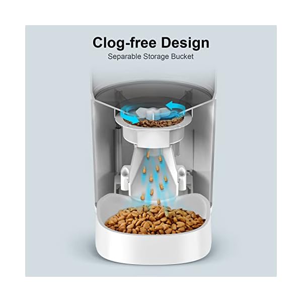 Npet Automatic Cat Feeder Instructions at James Mcdonald blog