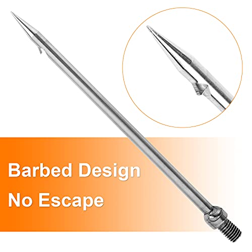 FREGITO Fishing Harpoon Stainless Steel Fishing Barbed Spear Gig Gaff with 8mm Screw for Outdoor Fishing Landing Large Fish Frog - Thumbnail 6