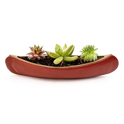 Top Collection Indigenous Red Canoe Replica 7-Inch Collectible Mini Succulent Planter and Air