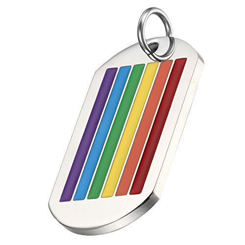 Flongo Pride LGBT Anhänger Halskette Schlüsselanhänger, Edelstahl Silber Mehrfarbig Bunt Streifen Regenbogen Rainbow LGBT Lesbe Gay Pride Schwul Homosexuell Dog Tag Herren, Damen, mit 55cm Kette