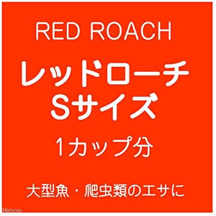 Amazon 生餌 レッドローチ ｓサイズ １カップ分 爬虫類 大型魚 餌 エサ 沖縄 離島不可 タイム便 航空便不可 Charm チャーム 餌 通販