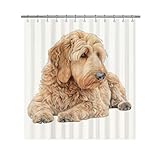 Ganshan Bi Lovely Tan Goldendoodle Dog Portrait Shower Curtain Watercolor Pet Animal Puppy Print Bath Curtains for Bathroom Home Decoration with 12 Hooks 72x72 Inch