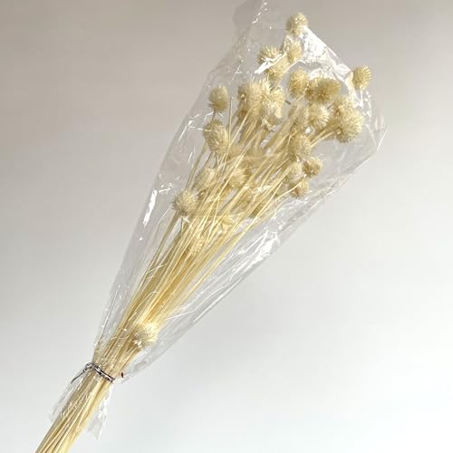 10 piezas frutas de fresa hechas a mano con tallos miniatura 3