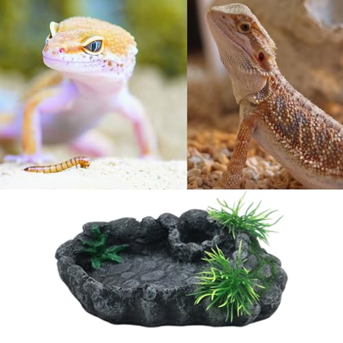 Oxxggkao Einzelnapf für Reptilien, Wasser- und Futternäpfe, Brotwurm-Fütterung für Haustier-Enthusiasten, langlebige Schüssel