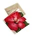 Kubla Crafts Red Hibiscus Capiz Shell Keepsake Box, 3 Inches X 3 Inches