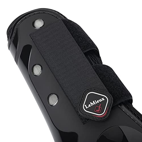 LeMieux Derby Horse Tendon Boots - Protective Gear and Training Equipment - Equine Boots, Wraps & Accessories - Tendon Protection and Support (Black/Large)