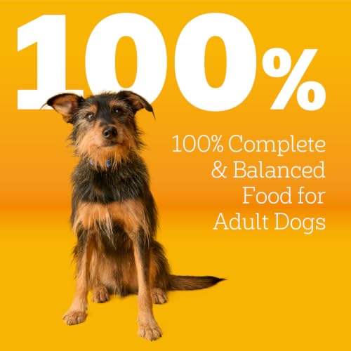Image of Pedigree Adult Dry Dog Food, Complete Nutrition, Roasted Chicken & Vegetable Flavor, 30 lb. Bag