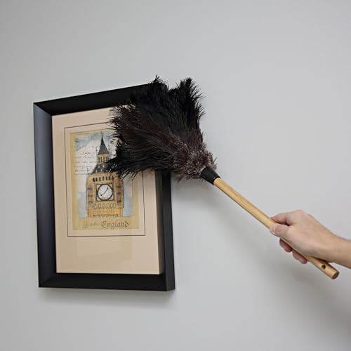 Image of Boardwalk 20BK Professional Ostrich Feather Duster, 10 inch Handle