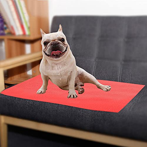 Image of Trance Waterproof Pet Training Pads | Reusable Pee Pad for Dogs Cats Puppy | Washable Pet Dry Sheet | Potty Trainer | Soft and Hypo-Allergenic (Small, Size 0.5 x 0.7 m | 50 x 70 Cms, Coral)- Pack Of 2
