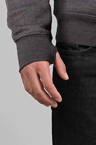 Noctua NP-H1.grey, Unisex Premium Branded Hoodie Sweatshirt (Grey) (M)4