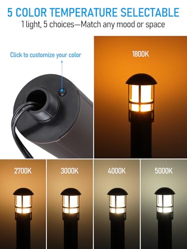 Image of LEONLITE 6-Pack 5CCT Low Voltage Landscape Pathway Lights, 3W, CRI90