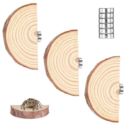 Fibraze Jumping Spider Accessories Jumping Spider Enclosure Accessories Kit Habitat Decor 3Pcs Wood Decor Fun Enclosure for Climbing & Hiding