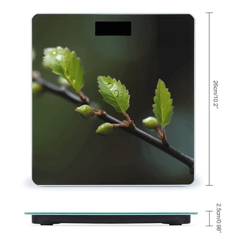 Báscula digital de baño New Leaves en vidrio templado miniatura 2