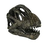 Things2Die4 Brachiosaurus Dinosaur Skull Fossil Statue Small 6 Inches Long