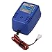 Team Losi Mini Peak AC Wall Charger: 1/18 vehicles