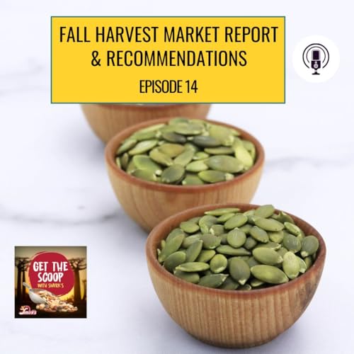 Fall Harvest Market Report & Recommendations EP 14