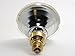 PHILIPS 175W PAR38 Clear Infrared Halogen Heat Bulb