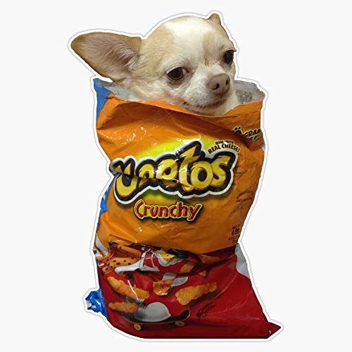 Crunch Doge Sticker Vinyl Waterproof Sticker Decal Car Laptop Wall Window Bumper Sticker 5