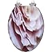Elongated Toilet Seat Close up delicate rose petals as pink color nature Resin Toilet Seat Quietly Slow Close with Quick-Release Hinges Toilet Seat with Cover Easy to Clean Install