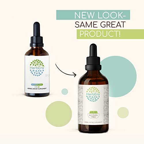 American Ginseng B60 Alcohol-Free Herbal Extract Tincture, Concentrated Liquid Drops Natural American Ginseng (Panax Quinquefolius) Dried Root (2 Fl Oz) #TOP3