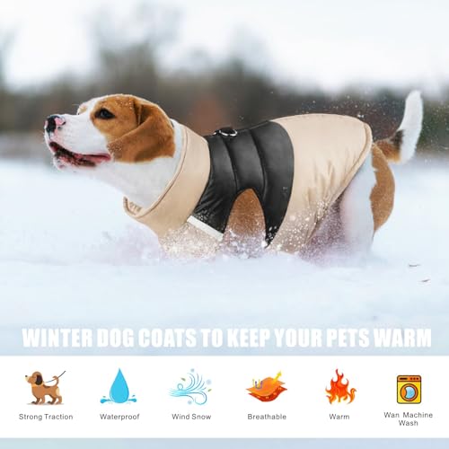Idepet Haustier Hund Warm Mantel Jacke wasserdichte Kleidung Kleine mittlere große Haustier Hund Katze Bekleidung Bekleidung Frühling Herbst Winter