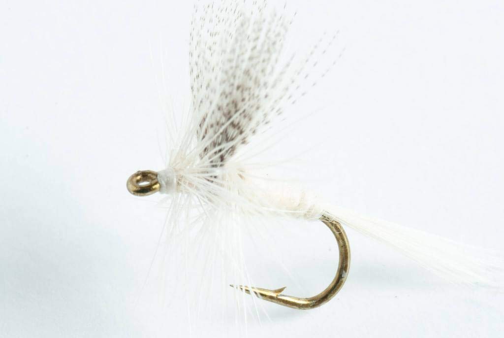 Blue Wing Olive Light Cahill Dry Fly (#14)